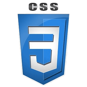 CSS Logo